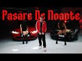 El Nino Pasare De Noapte Official Video