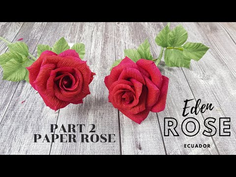 Paper Rose- How to make Eden Rose Ecuador Part 2