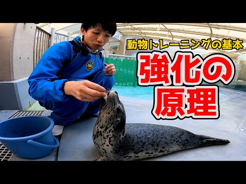教化について詳しく解説