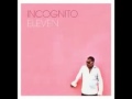 Incognito - It's Just One Of Those Things
