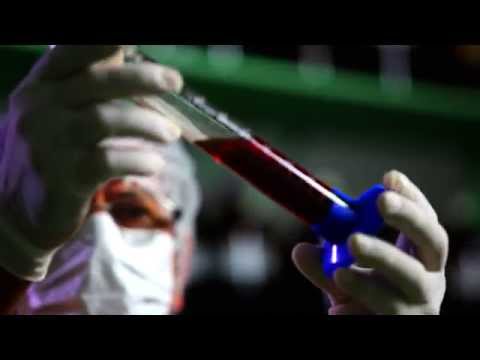 IBBIS: O Trabalho de Cura