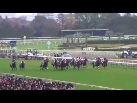 2014 ジャパンカップ JAPAN  CUP エピファネイア Epiphaneia