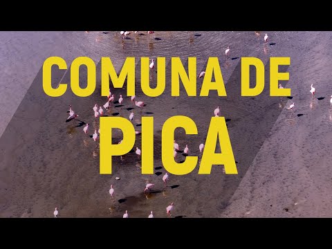 Paraisos en la Región de Tarapacá – Volumen 4: Comuna de Pica