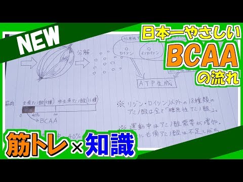  BCAA: BCAA とは何か、その目的、利点、使用方法