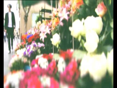 Nicolò Carnesi - Il colpo (Official videoclip)