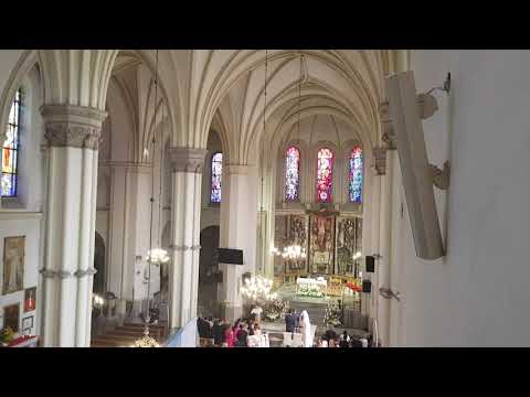 Oprawa muzyczna ślubu Wrocław - Maryjo śliczna Pani & Ty tylko mnie poprowadź