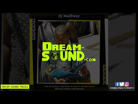 DJ Madbwoy - (Trap) Dancehall Mixtape 17 (Dancehall Mix 2022 Ft Jahvillani, Jahshii, Skeng, Govana)