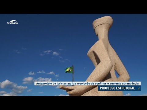 Anteprojeto do processo estrutural será encaminhado a Pacheco