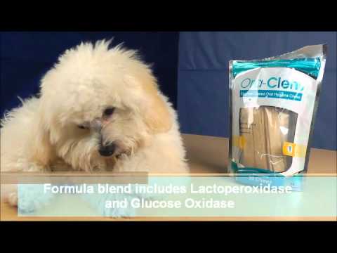 Ora-Clens Oral Hygiene Chews Small (30 Chews) Video