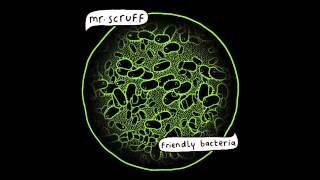 Mr. Scruff - 'Feel Free' (Scruff’s 12” Re-Tweak)