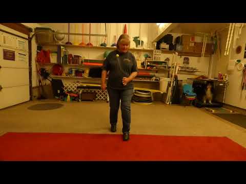 image-Can I use a CCW motor in CW?