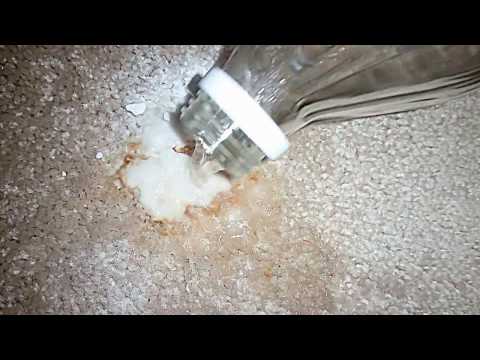 YouTube video about: How to get stains out of carpet with baking soda?