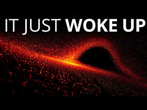 Phoenix A is NOT a Black Hole — It's Something Worse (And It Just Woke Up)