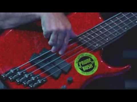 Phil Collins - You'll Be In My Heart S E H L