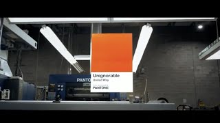 Unignorable: Pantone Color Institute x United Way Canada