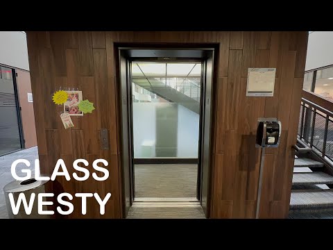 Westinghouse Scenic Elevator at Ballas Place Office Building St  Louis, MO