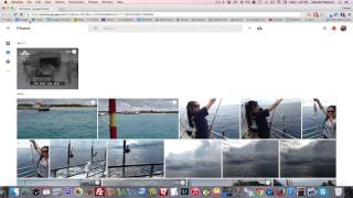 How To Access Google Photos From Your Desktop or Google Drive