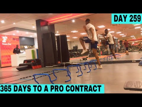 BACK AT SPEED LADDER | DAY 259