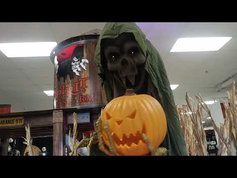 Spirit Acres Farm 2018