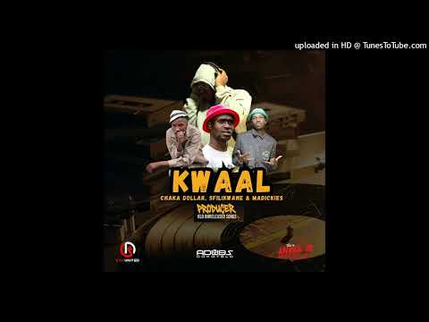 01. (Intro) Kwaal (Feat. Chaka Dolla, MaDickies, Sfilikwane)