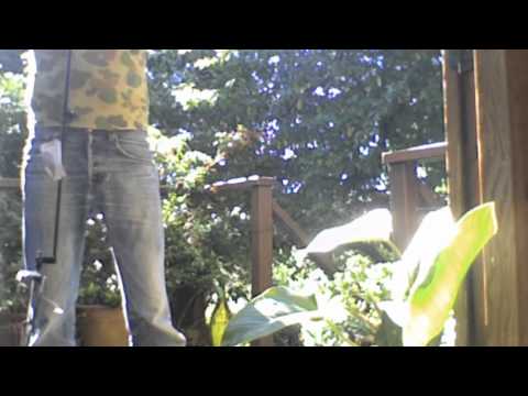 Hohner HBS-F1 Music Stand