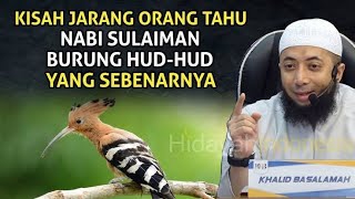Download lagu Kisah burung Hud - Hud di zaman nabi Sulaiman a.s - ustadz Khalid Basalamah mp3 Download lagu Kisah burung Hud - Hud di zaman nabi Sulaiman a.s - ustadz Khalid Basalamah mp3