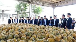 Đồng chí Bí thư Tỉnh ủy Đặng Xuân Phong thăm, kiểm tra, động viên sản xuất đầu Xuân Bính Ngọ 2026