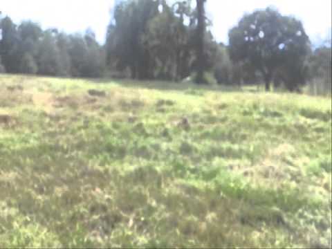 Moje Wykopki (Odc. 83)