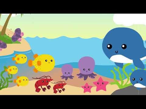 Sunday School Bible Stories