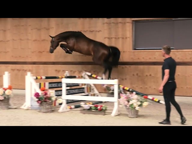 Jumping