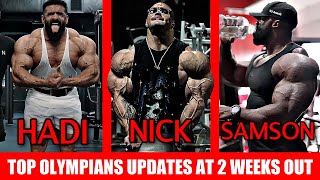 Download lagu Which Olympian Looks Most Impressive at 2 Weeks Out? Nick Walker, Hadi Choopan, Samson Dauda, Derek? mp3