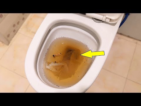 通水 意思