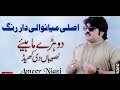Slowly And Revrb Sari Naseeban Diyan Khel Ameer Niazi Latest Song 2018