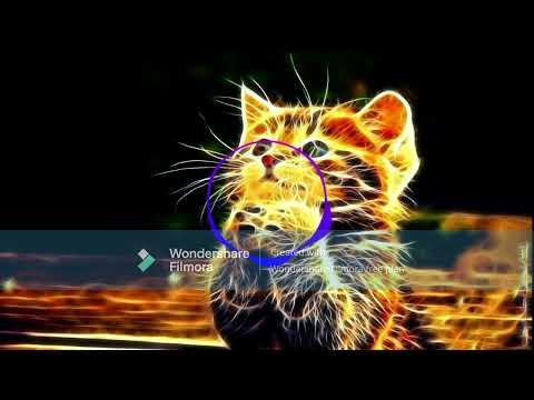 if found x nøll   die 4 u feat  damnboy! [NCS Release]