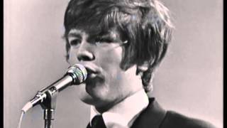 Herman&#39;s Hermits: Live in Australia - Excerpt (1966)