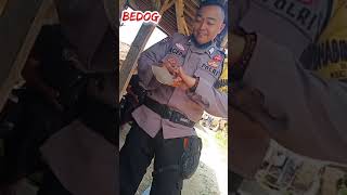 Download lagu GOLOK/BEDOG Centong kayu mp3