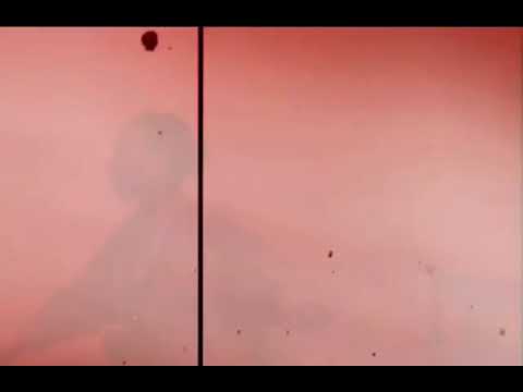 Angel Mutoni💥💥💥(freestyle)