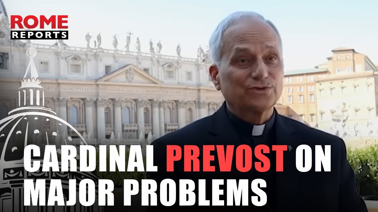 Cardinal Prevost on Major Problems of the Church