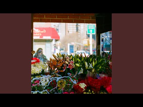 Video thumbnail for Bloom