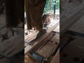 Mesin Potong Kayu Meja