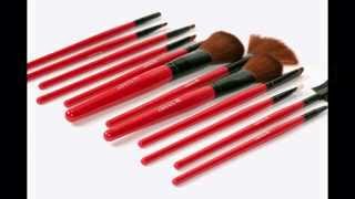 preview picture of video 'SHANY Professional 13-Piece Cosmetic Brush Set'