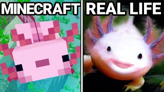 30 Minecraft Items VS Real Life!