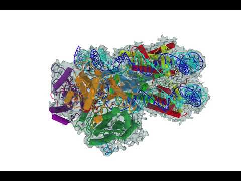 Cryo-EM density and structure of the nucleosome-CHD4 complex