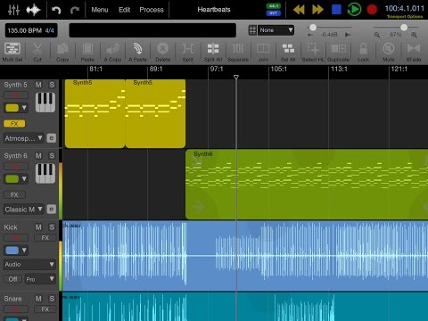Auria Pro: Editor Overview