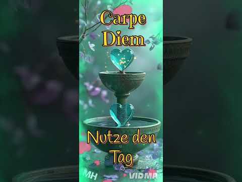 Carpe Diem , Nutze den Tag 