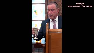 הבדלה החזן דוד שירו בבהכ''נ מגן דוד חולון מוצ''ש בא תשפ''ג - התמונה מוצגת ישירות מתוך אתר האינטרנט יוטיוב. זכויות היוצרים בתמונה שייכות ליוצרה. קישור קרדיט למקור התוכן נמצא בתוך דף הסרטון