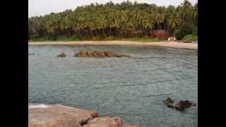 preview picture of video 'best place to stay in kerala'