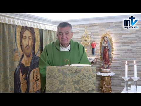 "La Codicia Mata tu Alma" | Homilía, Lunes, XXIX Semana del T.O (19-10-2026) | P. Santiago Martín, FM