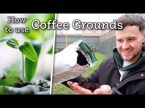 How To Use Coffee Grounds In Your Garden