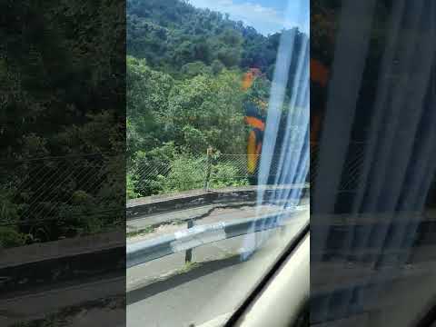 EL INDIO en RUTA A TAFI del VALLE, EL MOLLAR y AMAICHA #milei #shorts #tucuman